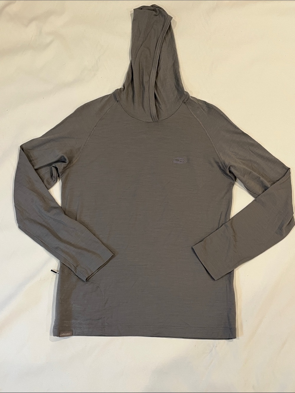 Icebreaker Men's Hooded Long Sleeve Shirt - Gray - Small